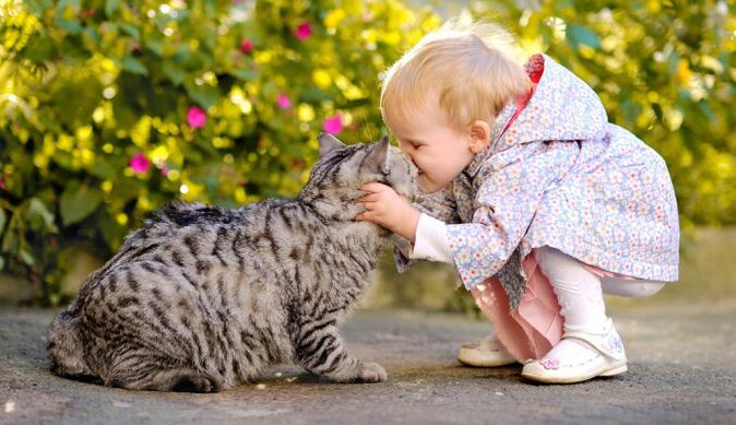 a child kisses a cat and gets infected with worms