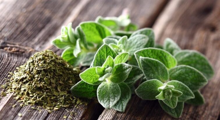 oregano is active against parasites