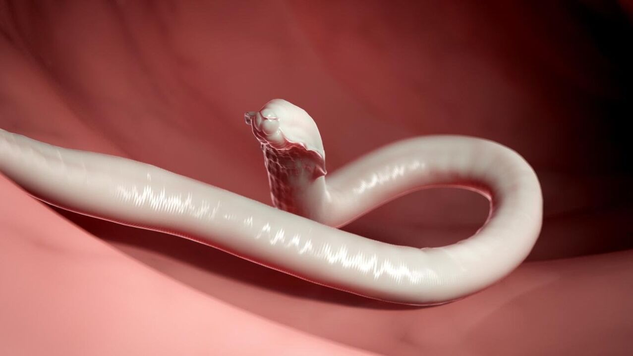 human parasitic worms