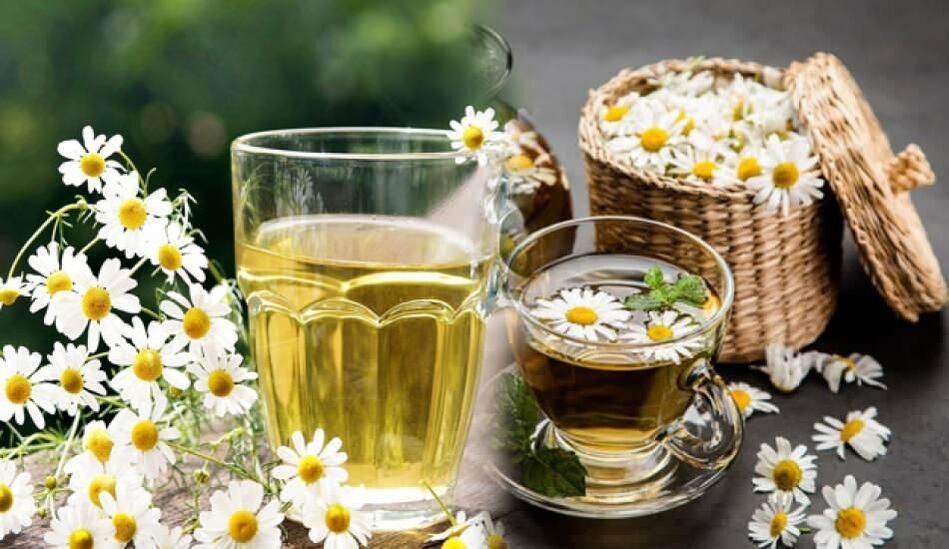 boil chamomile for parasites